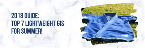 lightweight gis